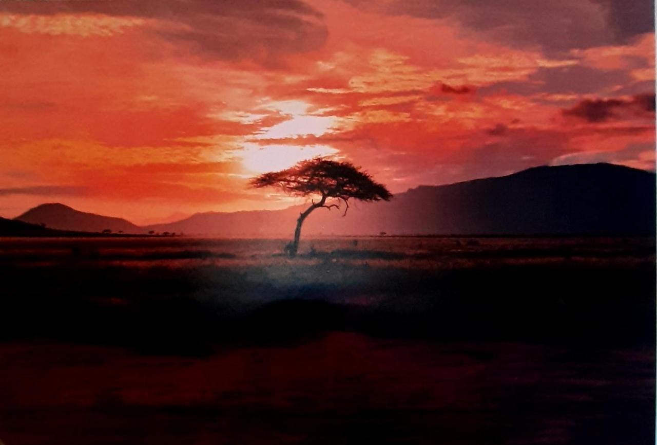 Serengeti Nap Comfy Rooms Szidári Kültér fotó