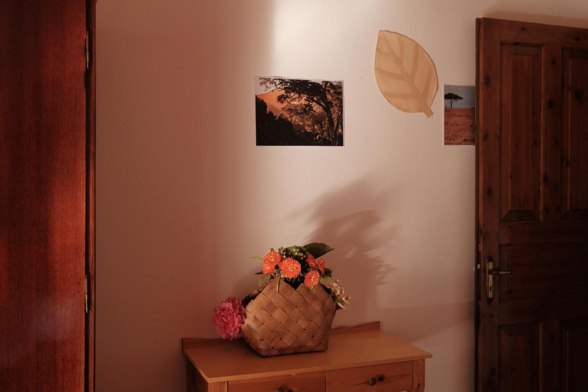 Serengeti Nap Comfy Rooms Szidári Szoba fotó